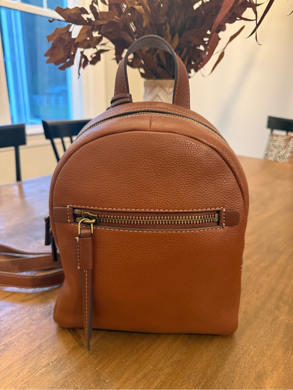 EUC Fossil Brown Backpack